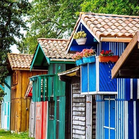 Au Coeur Du Bassin D'Arcachon,Tres Bel Appartement Avec Terrasse Audenge Buitenkant foto