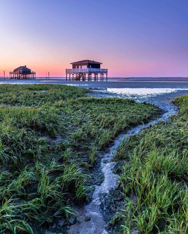 Au Coeur Du Bassin D'Arcachon,Tres Bel Appartement Avec Terrasse Audenge Buitenkant foto