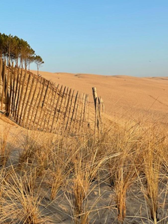 Au Coeur Du Bassin D'Arcachon,Tres Bel Appartement Avec Terrasse Audenge Buitenkant foto