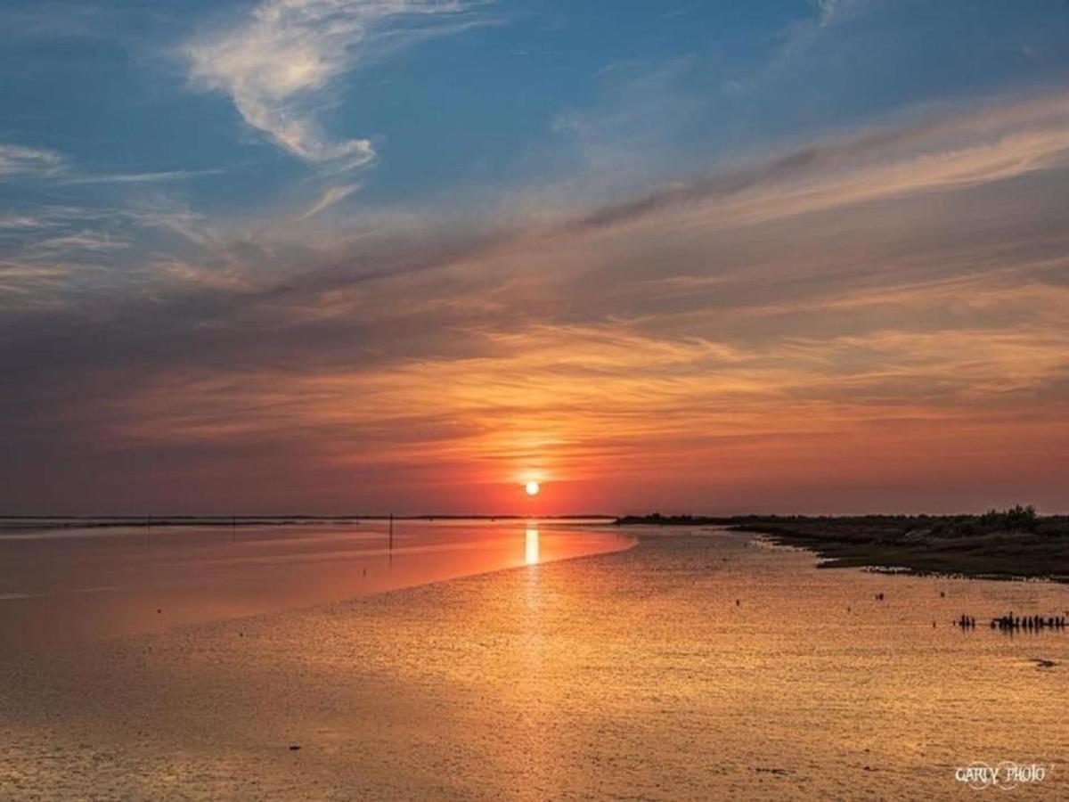 Au Coeur Du Bassin D'Arcachon,Tres Bel Appartement Avec Terrasse Audenge Buitenkant foto