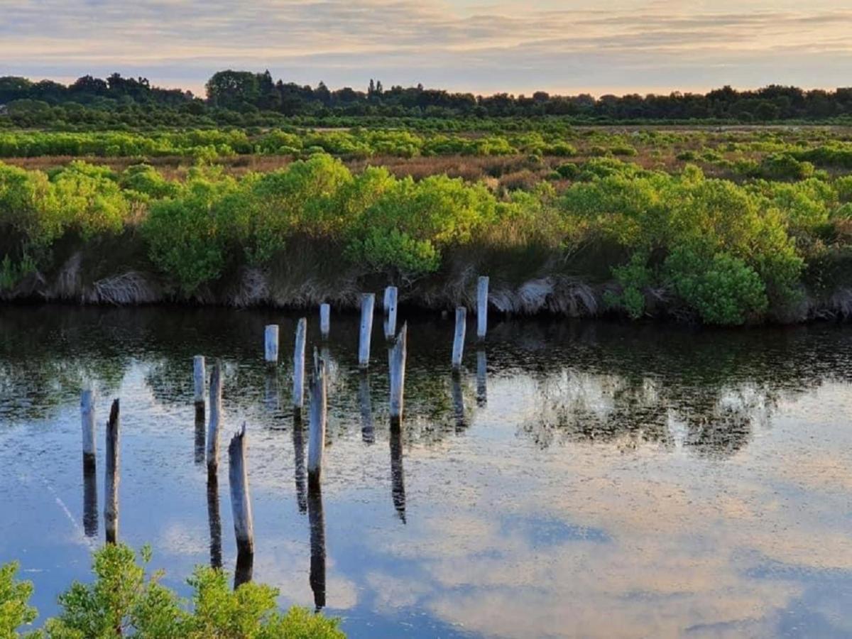 Au Coeur Du Bassin D'Arcachon,Tres Bel Appartement Avec Terrasse Audenge Buitenkant foto