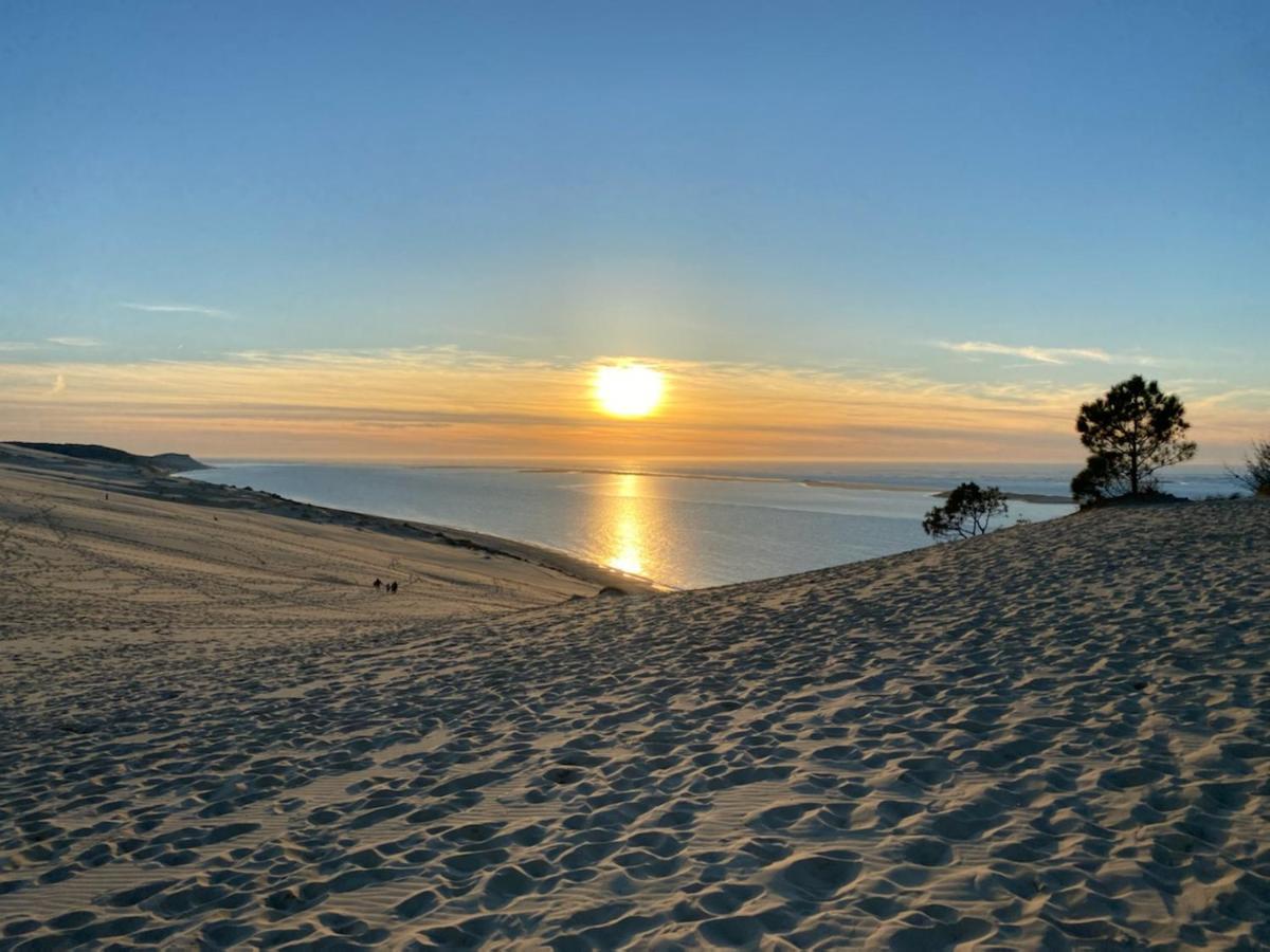 Au Coeur Du Bassin D'Arcachon,Tres Bel Appartement Avec Terrasse Audenge Buitenkant foto